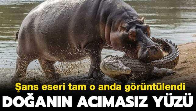 G�n�n en �ok payla��lan foto�raflar�