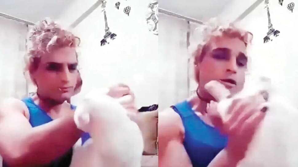 Kediye canlı yayında işkence