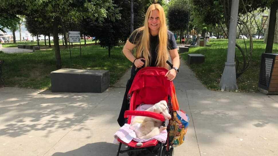 Komedyen Funda Hayırlıoğlu felçli köpeğini bebek
